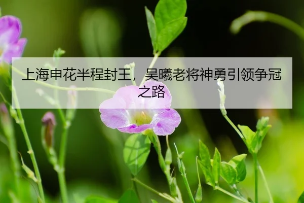 shang-hai-shen-hua-ban-cheng-feng-wang-wu-xi-lao-jiang-shen-yong-yin-ling-zheng-guan-zhi-lu-3-634.jpg
