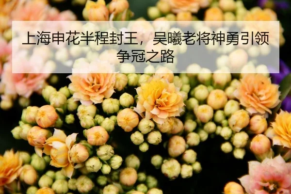 上海申花半程封王，吴曦老将神勇引领争冠之路