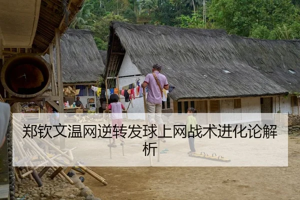 郑钦文温网逆转发球上网战术进化论解析